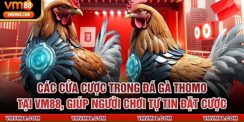 Các cửa cược trong đá gà thomo tại VM88, giúp người chơi tự tin đặt cược