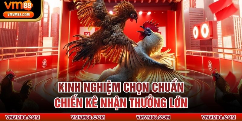 ĐÁ GÀ Kinh nghiệm chọn chuẩn chiến kê nhận thưởng lớn