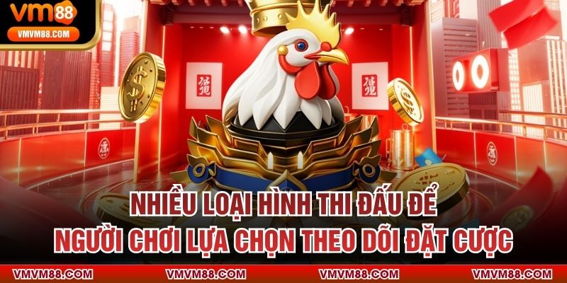 ĐÁ GÀ Nhiều loại hình thi đấu để người chơi lựa chọn theo dõi đặt cược